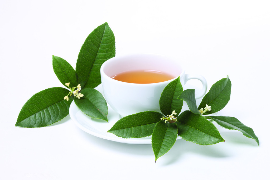 构成中华茶道的四大要素是环境、礼法、茶艺、