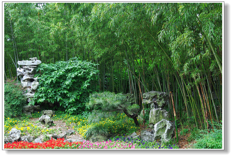 中国园林中竹与石的美学特征以及精神内涵