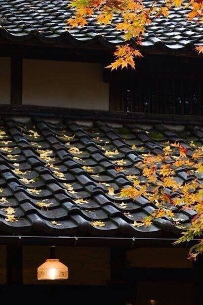 中国古建瓦当，屋檐上的艺术