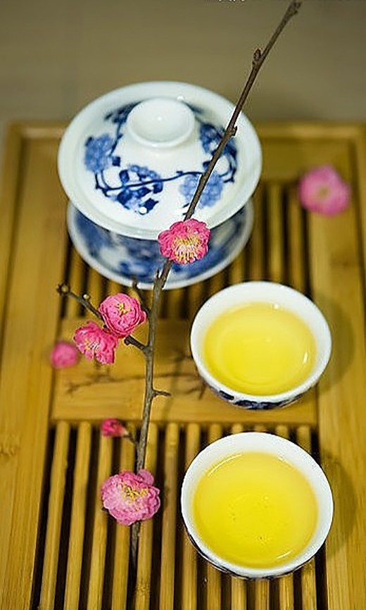 概述中国茶文化的整个发展历程