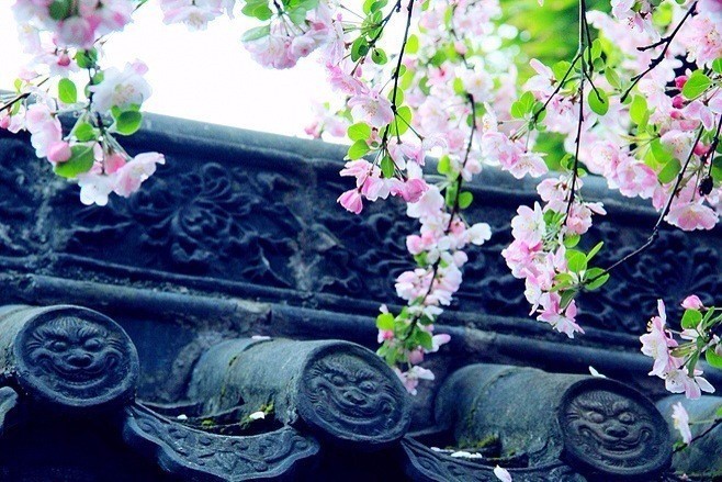 绿竹含新粉，红莲落故衣 中式古典庭院的绝美之境