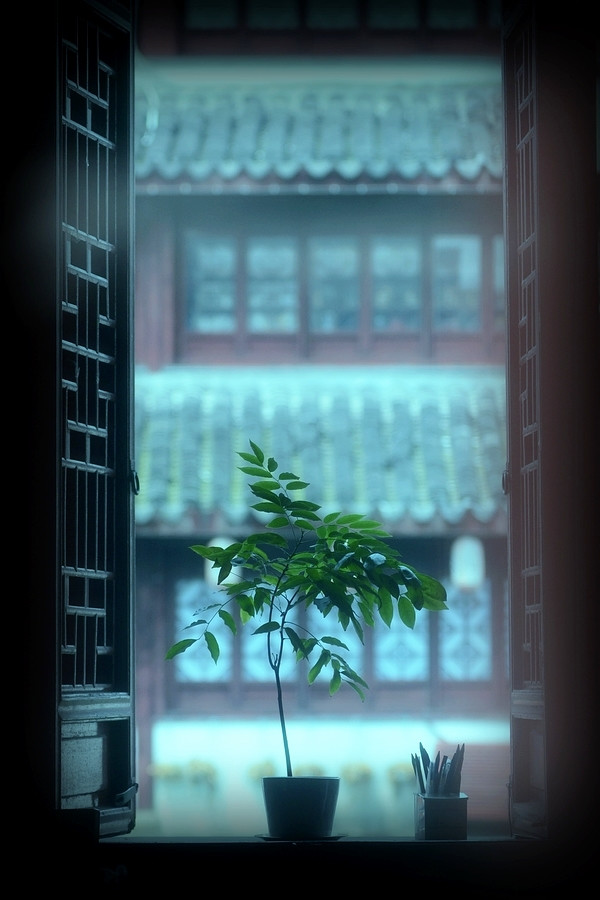 中式传统窗棂之风韵 尽显古典庭院悠然情