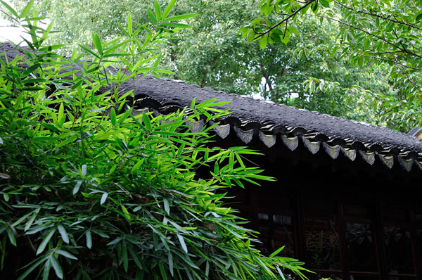中式古典园林庭院景观之竹韵深深意境悠远